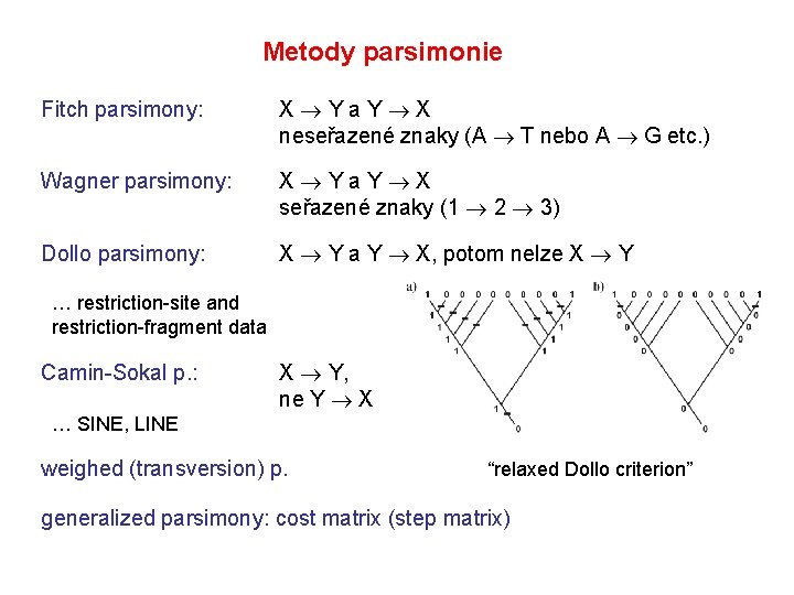 Metody parsimonie Fitch parsimony: X Y a Y X neseřazené znaky (A T nebo