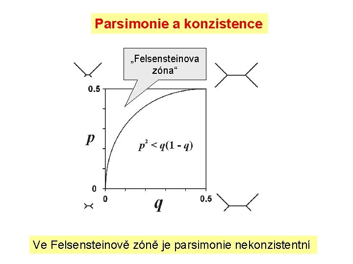 Parsimonie a konzistence „Felsensteinova zóna“ Ve Felsensteinově zóně je parsimonie nekonzistentní 