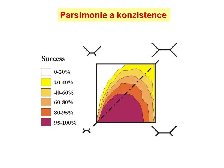 Parsimonie a konzistence 