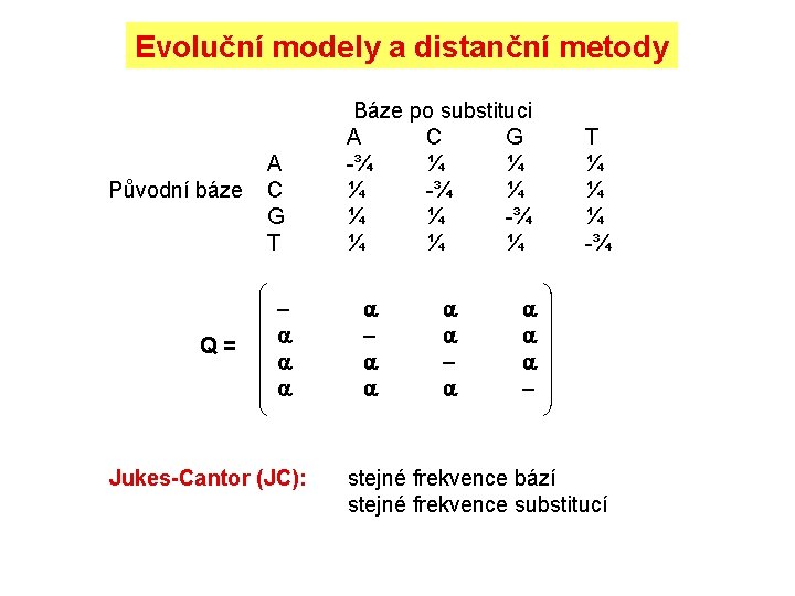 Evoluční modely a distanční metody Původní báze Q = A C G T Jukes-Cantor