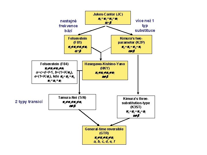 Jukes-Cantor (JC) A= C= G= T = nestejné frekvence bází Felsenstein (F 81) A