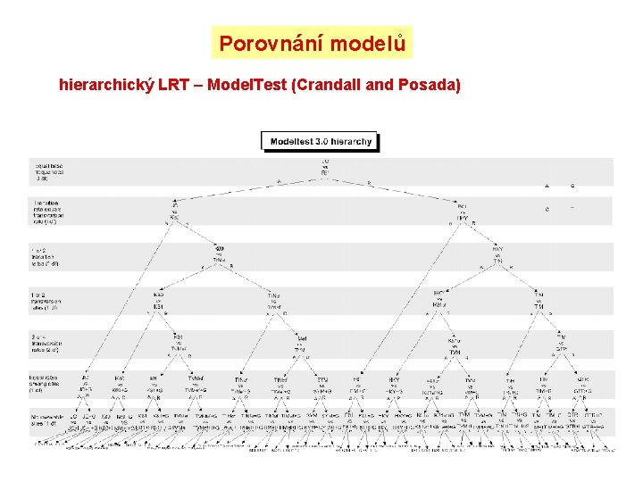 Porovnání modelů hierarchický LRT – Model. Test (Crandall and Posada) 