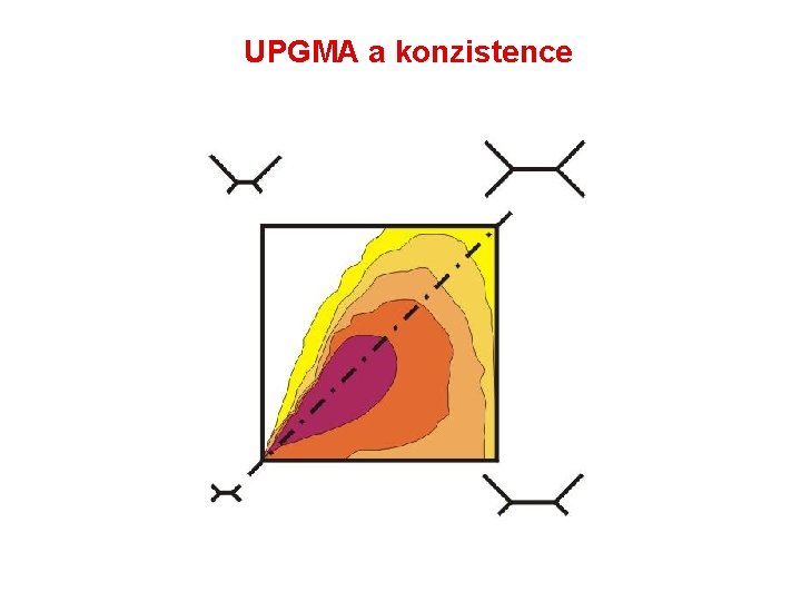 UPGMA a konzistence 