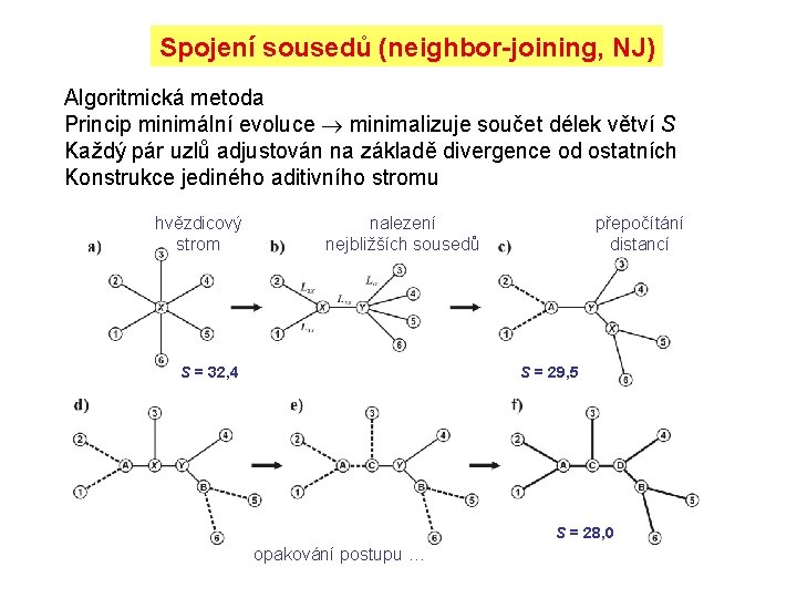 Spojení sousedů (neighbor-joining, NJ) Algoritmická metoda Princip minimální evoluce minimalizuje součet délek větví S