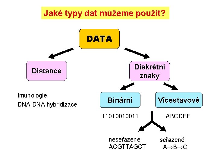 Jaké typy dat můžeme použít? DATA Diskrétní znaky Distance Imunologie DNA-DNA hybridizace Binární Vícestavové