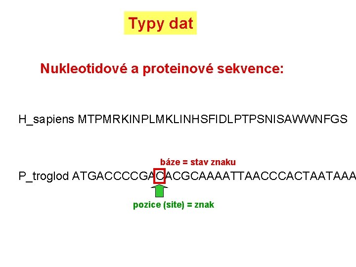 Typy dat Nukleotidové a proteinové sekvence: H_sapiens MTPMRKINPLMKLINHSFIDLPTPSNISAWWNFGS báze = stav znaku P_troglod ATGACCCCGACACGCAAAATTAACCCACTAATAAA