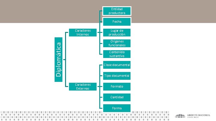 Entidad productora Fecha Caracteres Internos Lugar de producción Diplomática Orígenes funcionales Contenido sustantivo Clase