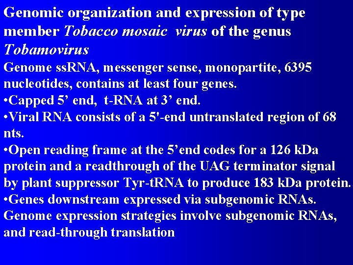 Genomic organization and expression of type member Tobacco mosaic virus of the genus Tobamovirus