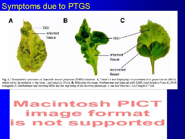 Symptoms due to PTGS 