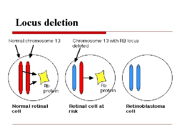 Locus deletion 