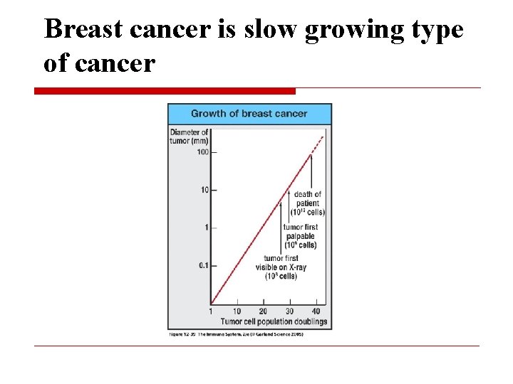 Breast cancer is slow growing type of cancer 