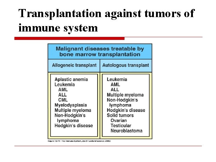 Transplantation against tumors of immune system 