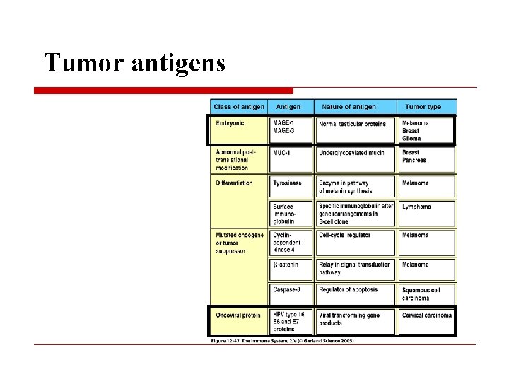 Tumor antigens 