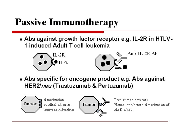 Passive Immunotherapy n Abs against growth factor receptor e. g. IL-2 R in HTLV