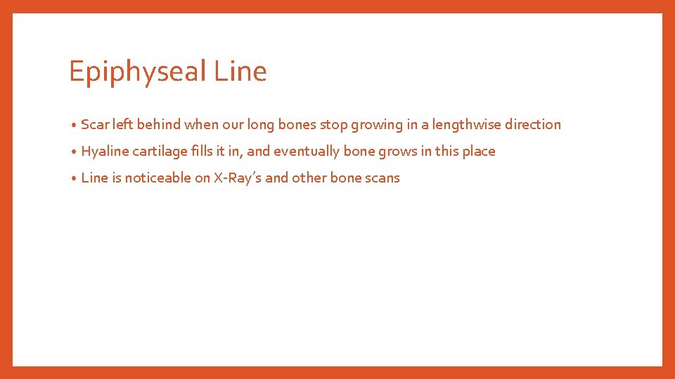 Epiphyseal Line • Scar left behind when our long bones stop growing in a