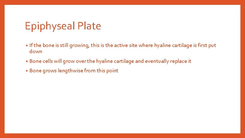 Epiphyseal Plate • If the bone is still growing, this is the active site