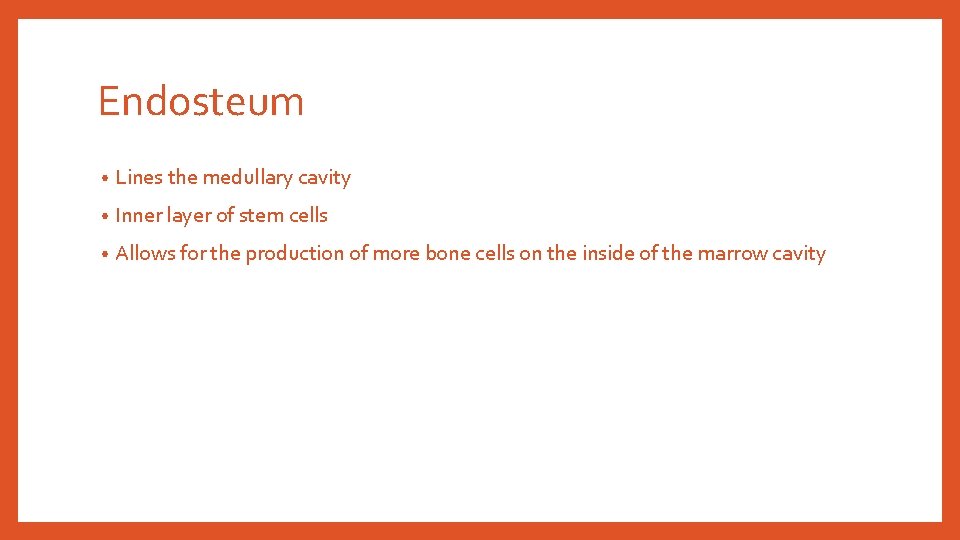 Endosteum • Lines the medullary cavity • Inner layer of stem cells • Allows