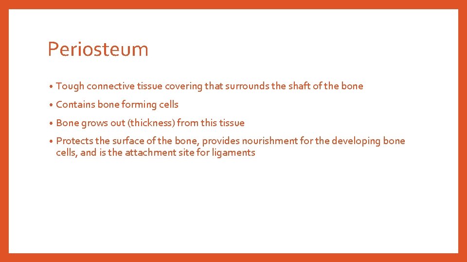 Periosteum • Tough connective tissue covering that surrounds the shaft of the bone •