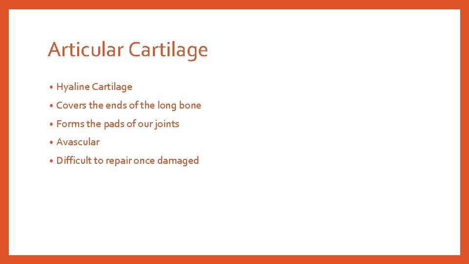 Articular Cartilage • Hyaline Cartilage • Covers the ends of the long bone • Articular Cartilage • Hyaline Cartilage • Covers the ends of the long bone •