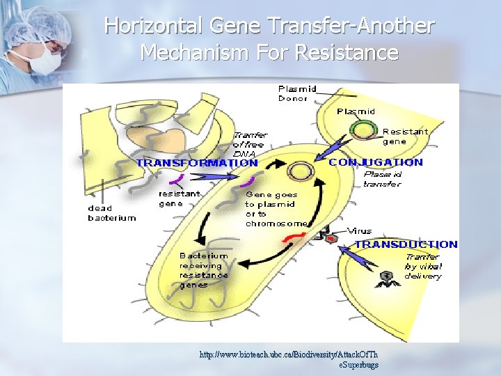 Horizontal Gene Transfer-Another Mechanism For Resistance http: //www. bioteach. ubc. ca/Biodiversity/Attack. Of. Th e.