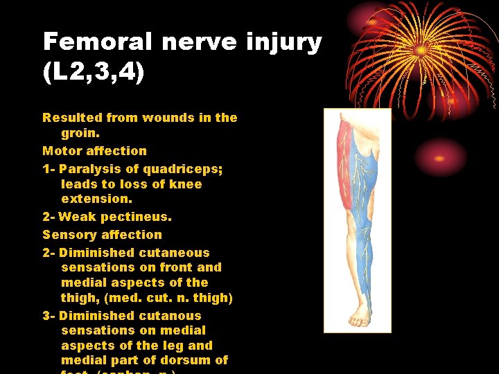 Femoral nerve injury (L 2, 3, 4) Resulted from wounds in the groin. Motor