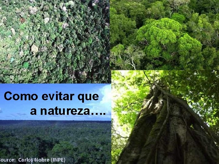 Como evitar que a natureza…. Source: Carlos Nobre (INPE) 