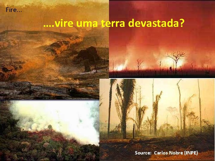 Fire. . . …. vire uma terra devastada? Source: Carlos Nobre (INPE) 