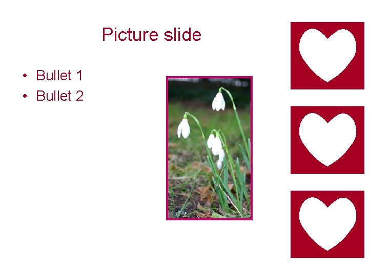 Picture slide • Bullet 1 • Bullet 2 