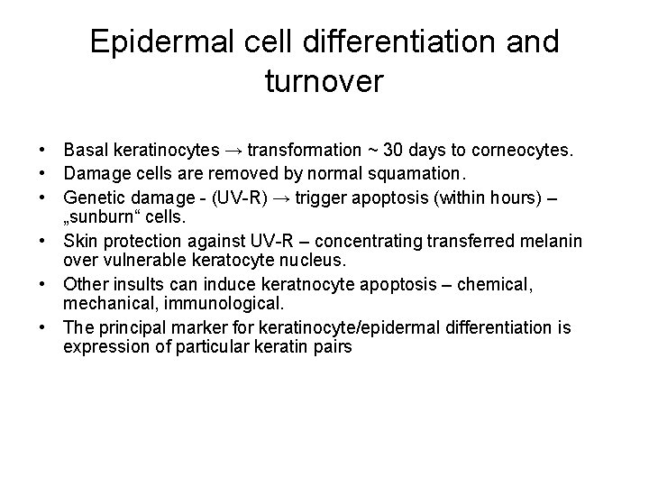 Epidermal cell differentiation and turnover • Basal keratinocytes → transformation ~ 30 days to