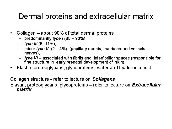 Dermal proteins and extracellular matrix • Collagen – about 90% of total dermal proteins