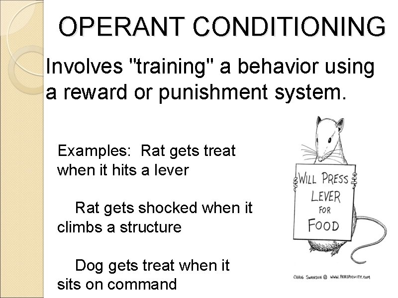 OPERANT CONDITIONING Involves "training" a behavior using a reward or punishment system. Examples: Rat