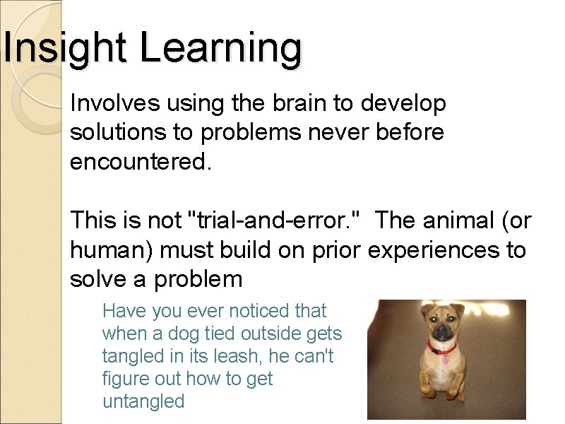 Insight Learning Involves using the brain to develop solutions to problems never before encountered.
