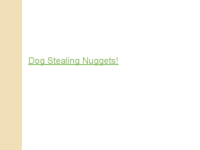 Dog Stealing Nuggets! 