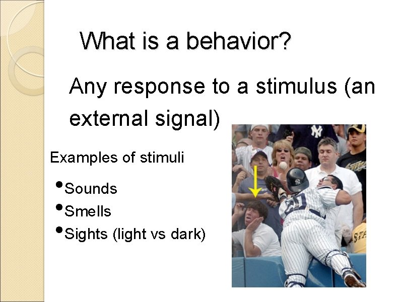 What is a behavior? Any response to a stimulus (an external signal) Examples of