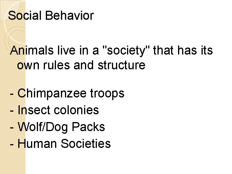 Social Behavior Animals live in a "society" that has its own rules and structure