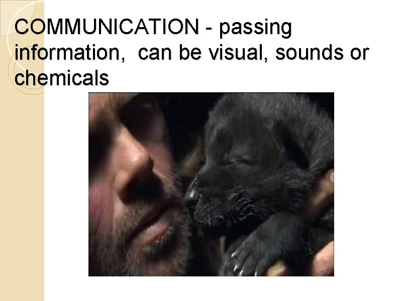 COMMUNICATION - passing information, can be visual, sounds or chemicals 