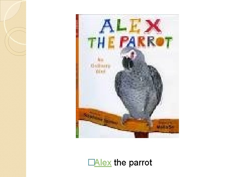 �Alex the parrot 