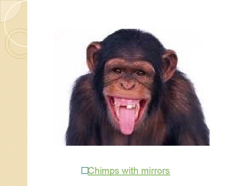 �Chimps with mirrors 