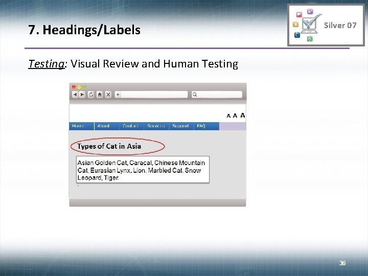 7. Headings/Labels Silver 07 Testing: Visual Review and Human Testing 36 36 