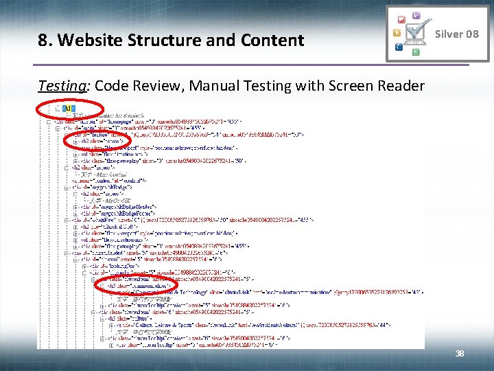 8. Website Structure and Content Silver 08 Testing: Code Review, Manual Testing with Screen