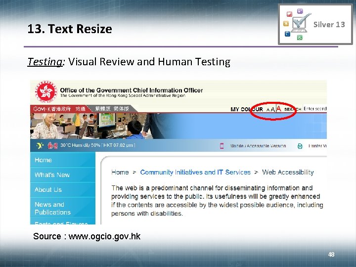 13. Text Resize Silver 13 Testing: Visual Review and Human Testing Source : www.
