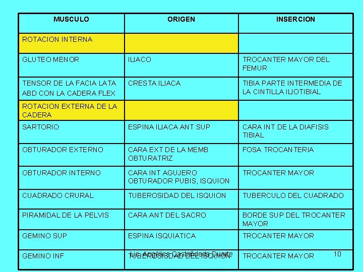 MUSCULO ORIGEN INSERCION ROTACION INTERNA GLUTEO MENOR ILIACO TROCANTER MAYOR DEL FEMUR TENSOR DE