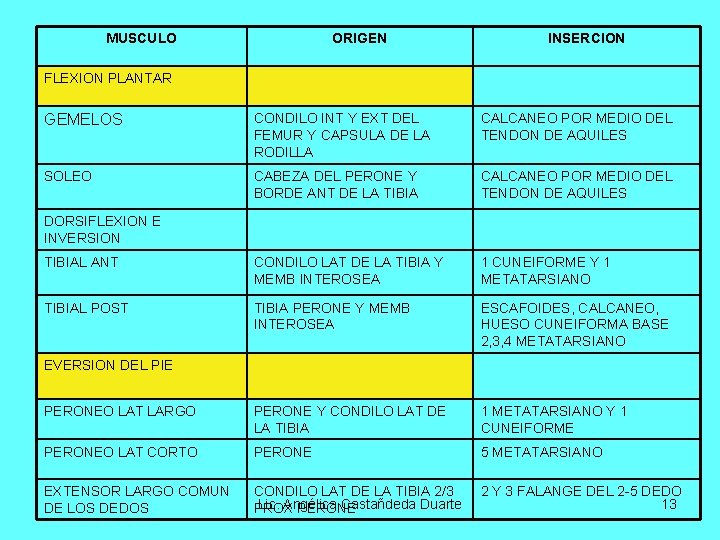 MUSCULO ORIGEN INSERCION FLEXION PLANTAR GEMELOS CONDILO INT Y EXT DEL FEMUR Y CAPSULA