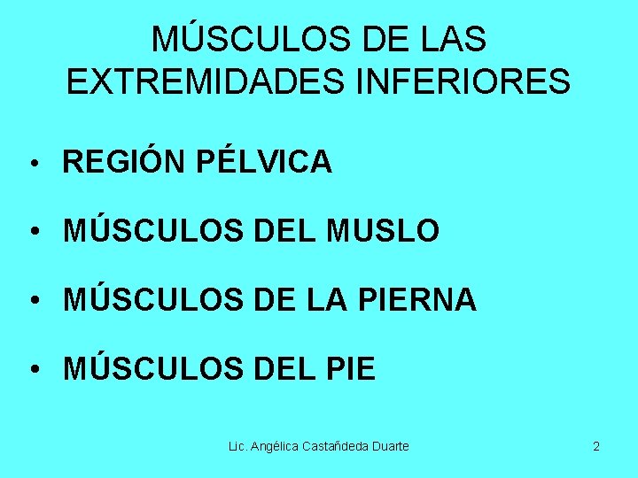 MÚSCULOS DE LAS EXTREMIDADES INFERIORES • REGIÓN PÉLVICA • MÚSCULOS DEL MUSLO • MÚSCULOS