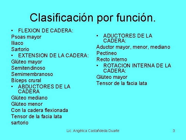 Clasificación por función. • FLEXION DE CADERA: Psoas mayor Iliaco Sartorio • EXTENSION DE