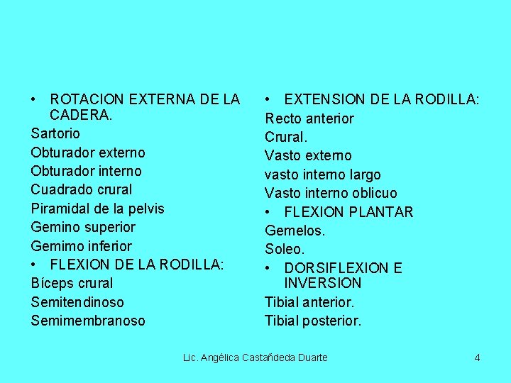  • ROTACION EXTERNA DE LA CADERA. Sartorio Obturador externo Obturador interno Cuadrado crural