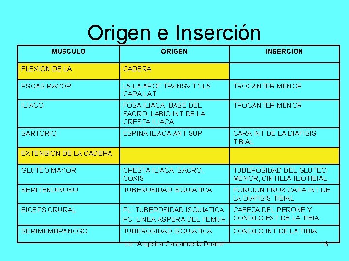 Origen e Inserción MUSCULO ORIGEN INSERCION FLEXION DE LA CADERA PSOAS MAYOR L 5