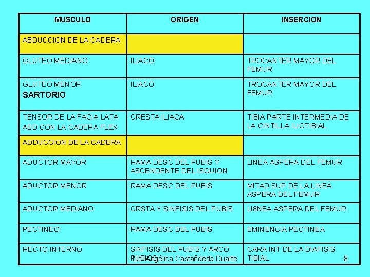 MUSCULO ORIGEN INSERCION ABDUCCION DE LA CADERA GLUTEO MEDIANO ILIACO TROCANTER MAYOR DEL FEMUR