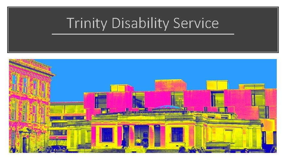 Trinity Disability Service 