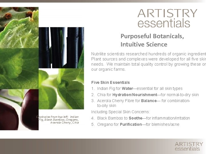 Purposeful Botanicals, Intuitive Science Nutrilite scientists researched hundreds of organic ingredient Plant sources and